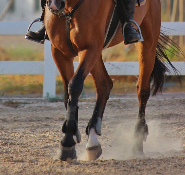 A rider on a brown horse trotting in a sandy arena with a white fence in the background.